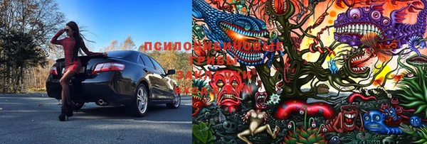 эйфоретик Козельск