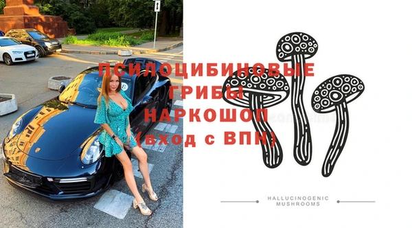 прущая мука Козловка