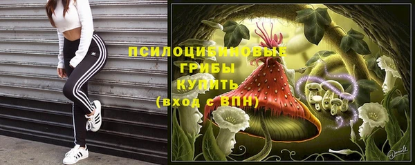 mdpv Кодинск