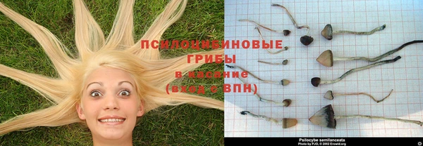 гашишное масло Краснослободск