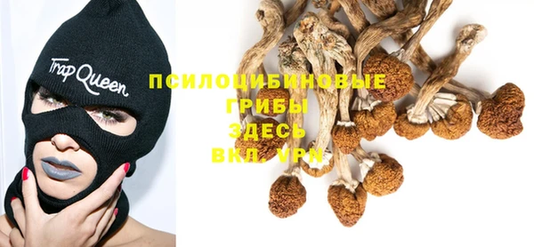гашишное масло Краснослободск