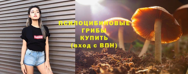 спиды Всеволожск