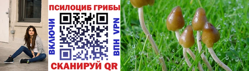 Галлюциногенные грибы прущие грибы  наркошоп  Костерёво 